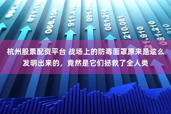 杭州股票配资平台 战场上的防毒面罩原来是这么发明出来的，竟然是它们拯救了全人类