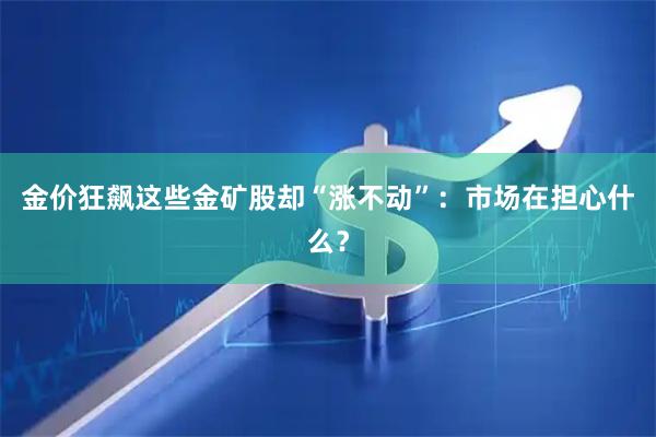 金价狂飙这些金矿股却“涨不动”：市场在担心什么？
