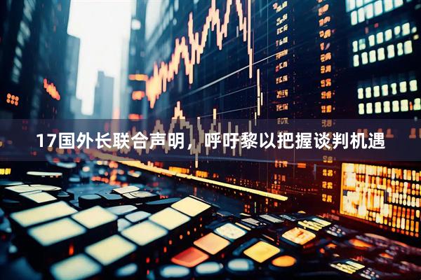 17国外长联合声明，呼吁黎以把握谈判机遇
