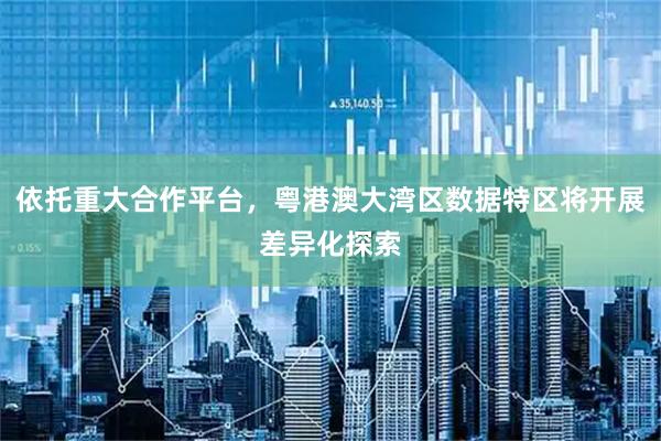 依托重大合作平台，粤港澳大湾区数据特区将开展差异化探索