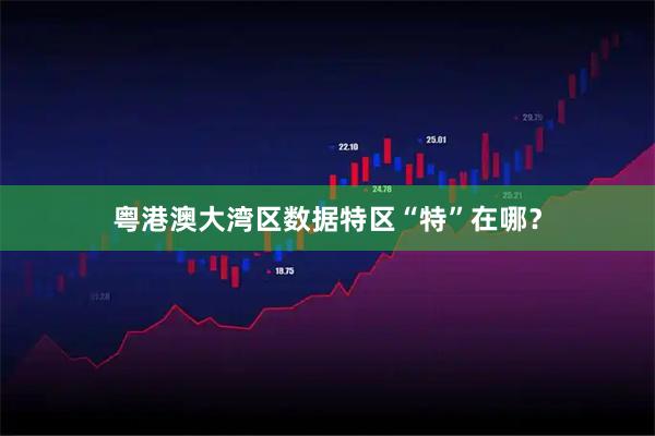 粤港澳大湾区数据特区“特”在哪？