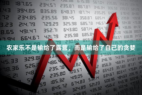 农家乐不是输给了露营，而是输给了自己的贪婪